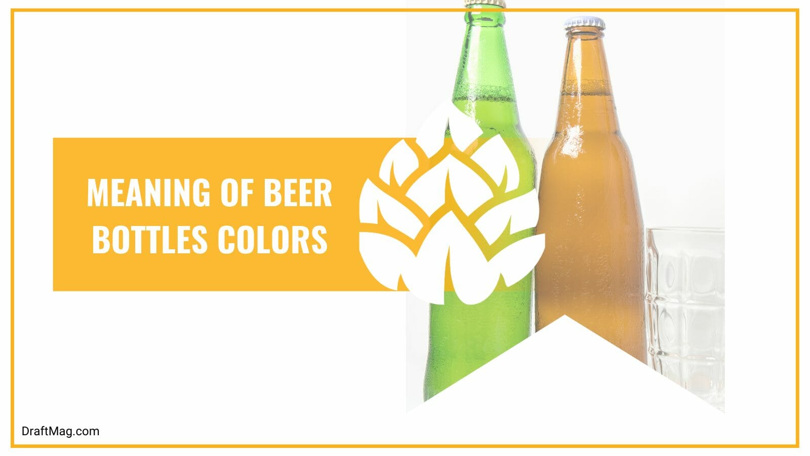 Meaning of beer bottle colors