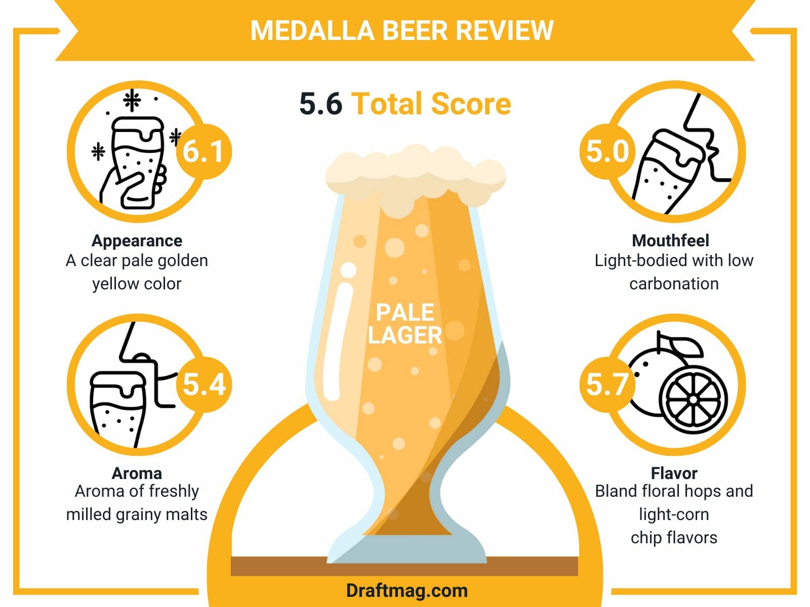 Medalla beer review infographics