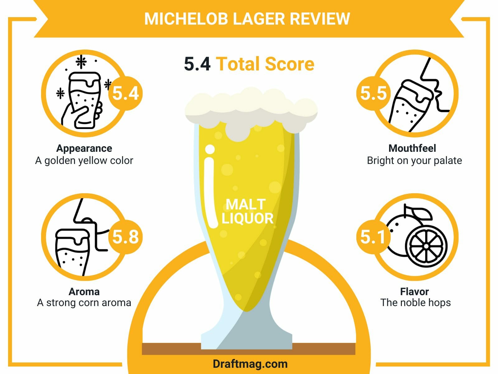 Michelob lager review infographic