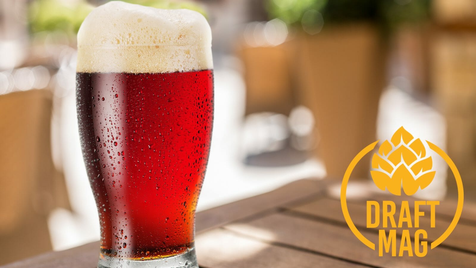 Miller Fortune Review Sipping This Unique American Amber Lager