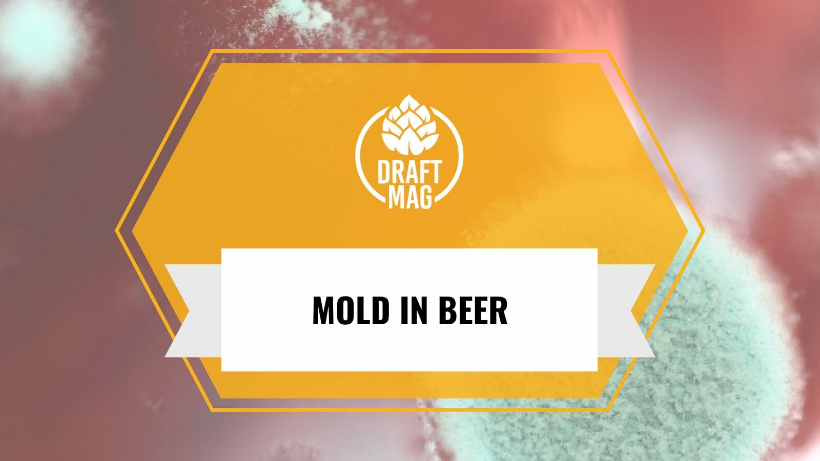 Mold in beer