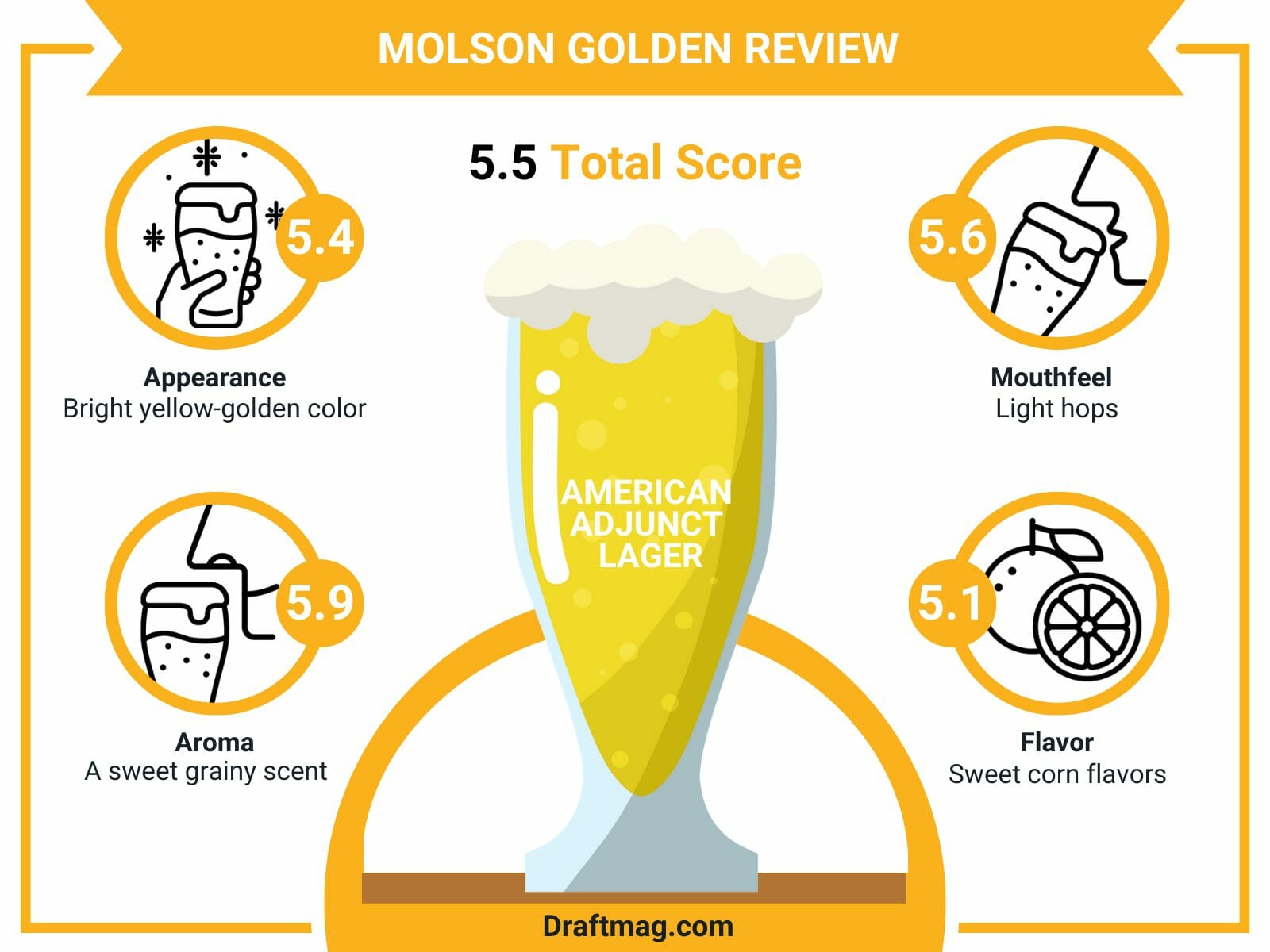 Molson golden review infographic