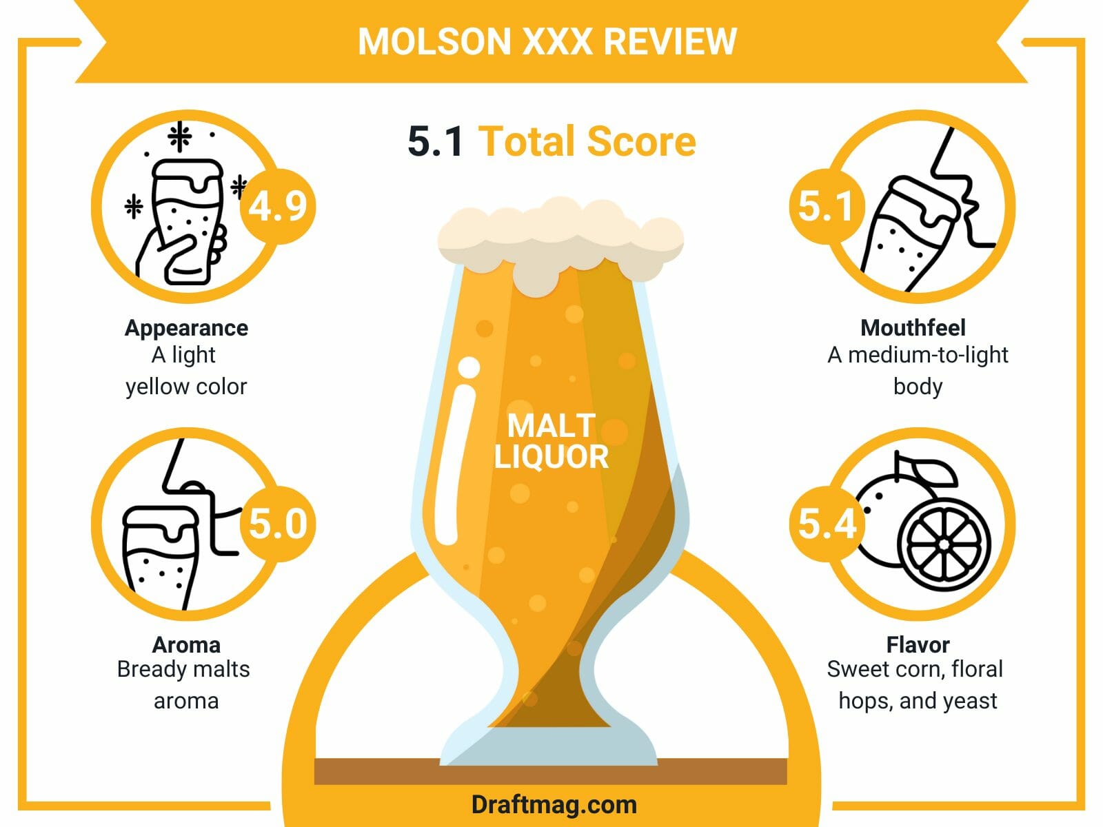 Molson xxx review infographic