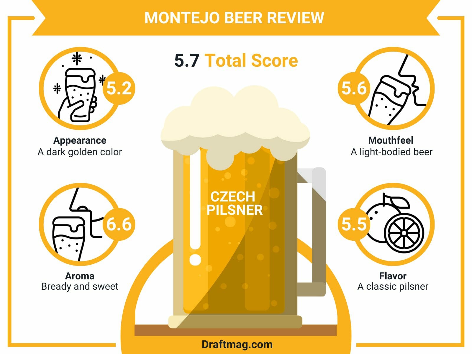 Montejo beer review infographic