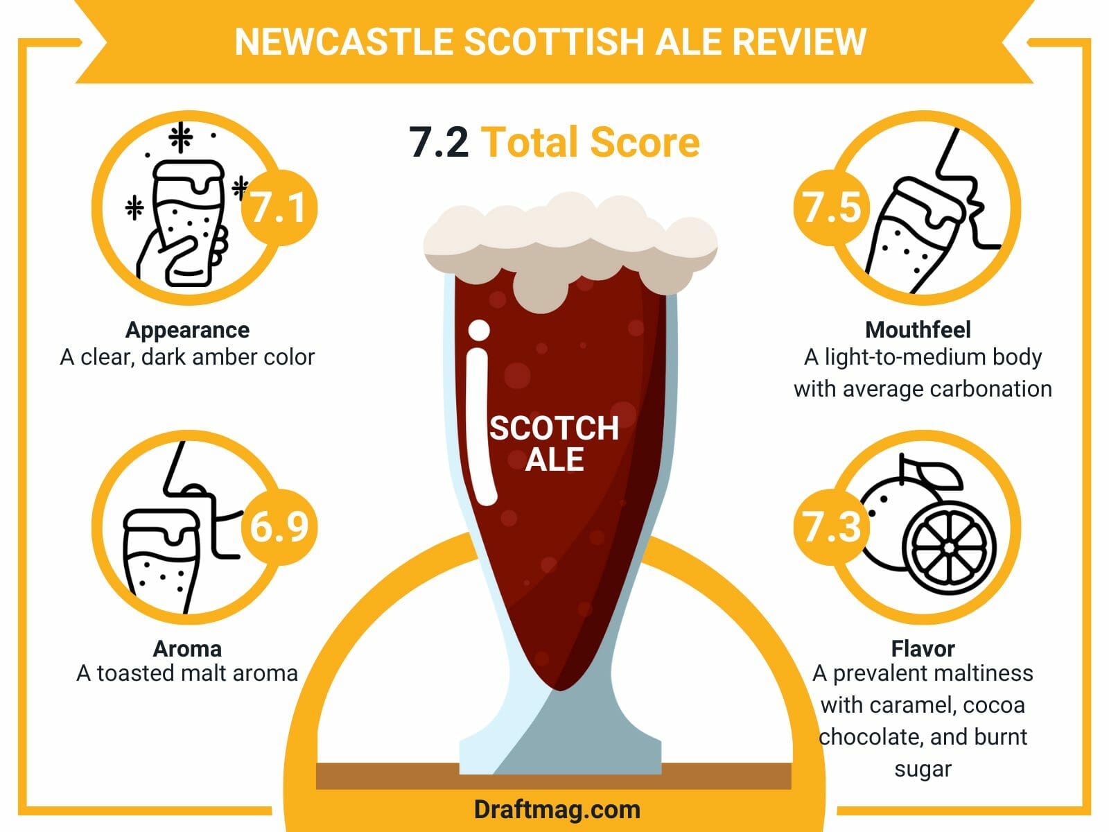 Newcastle scottish ale review infographic