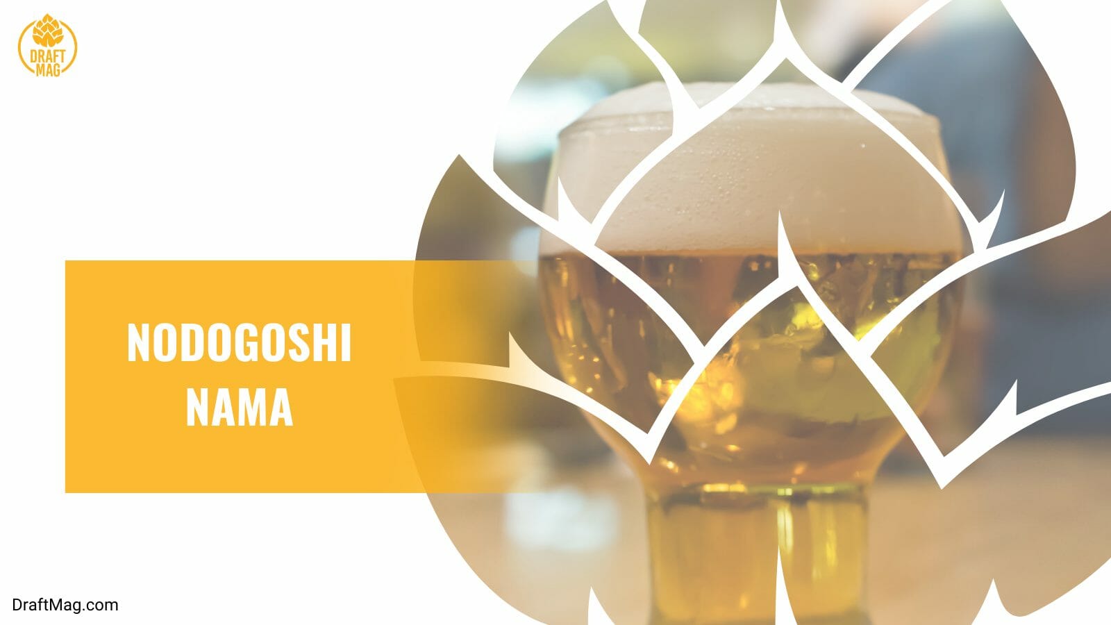 Nodogoshi nama gluten free beer