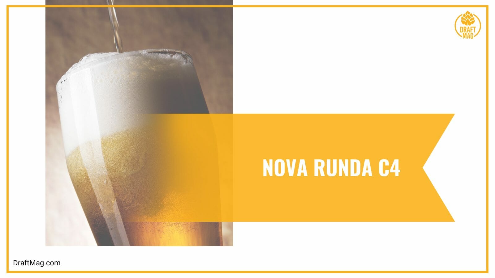 Nova runda c an american ipa