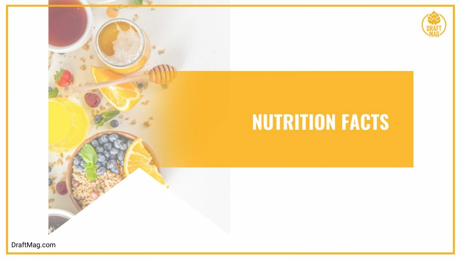 Daisy Cutter Beer Review For Pale Ale Lovers