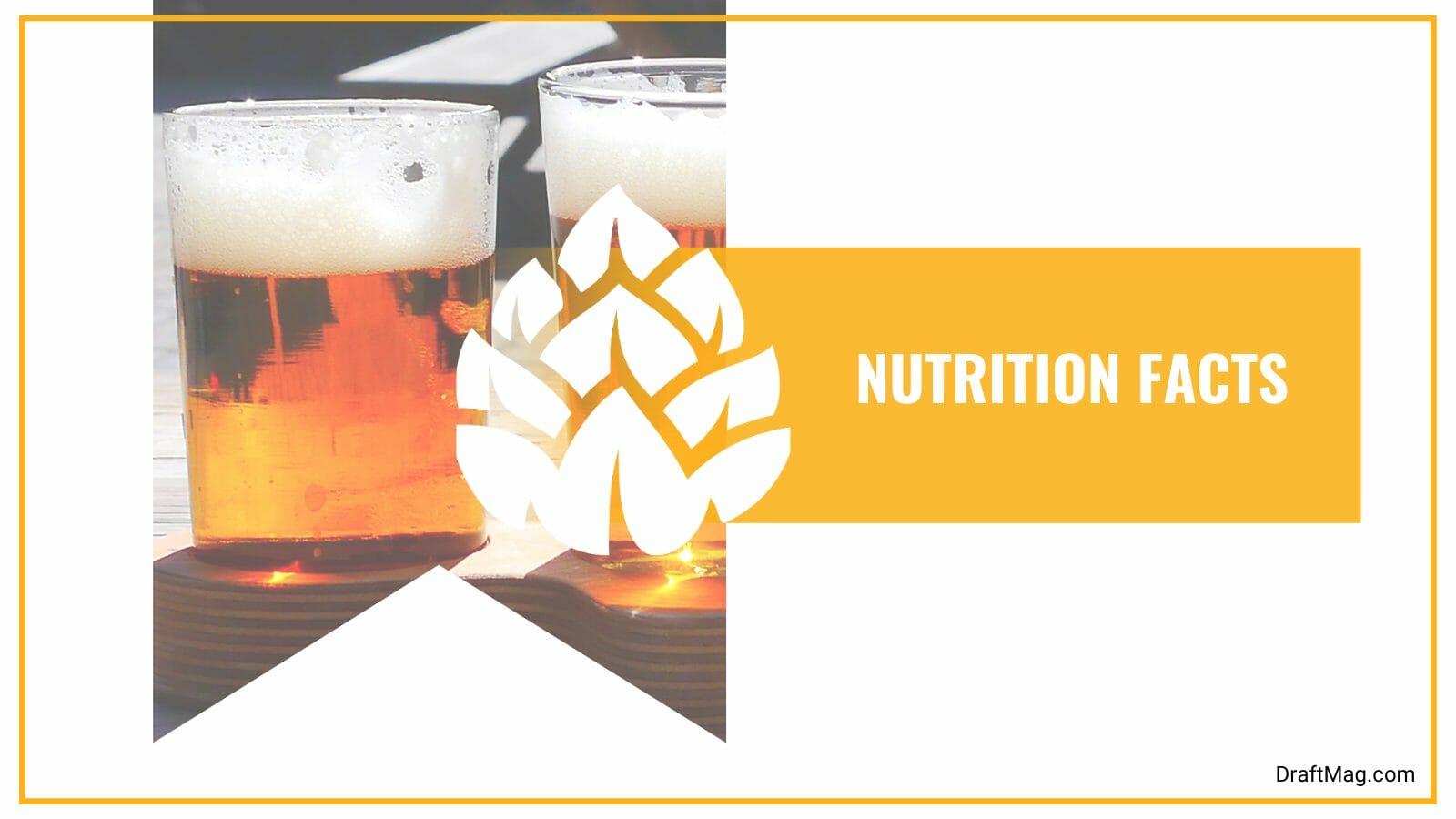 Nutrition facts about german pilsner