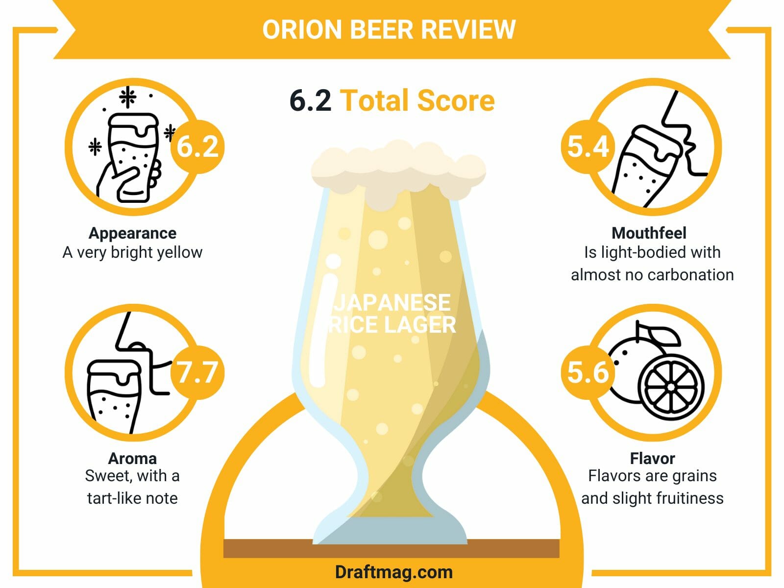 Onion beer review infographic