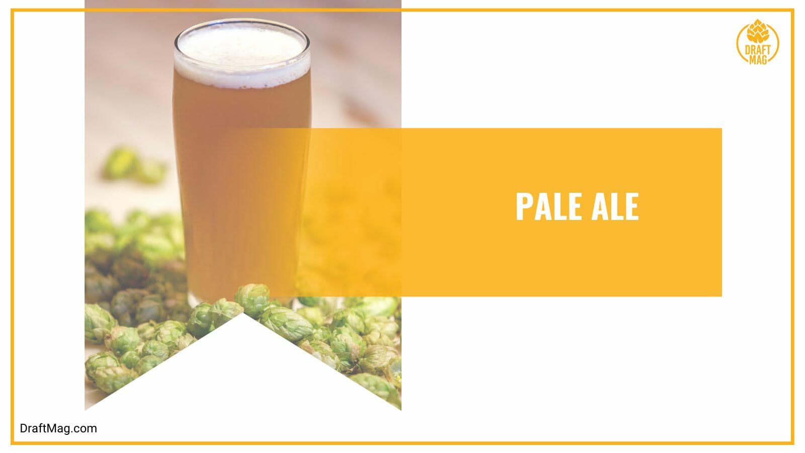 Pale Ale with an Amber Color