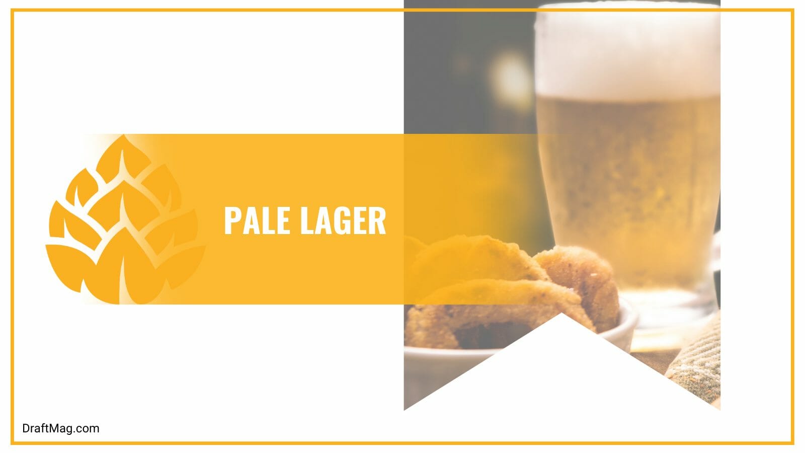 Pale lager a light color