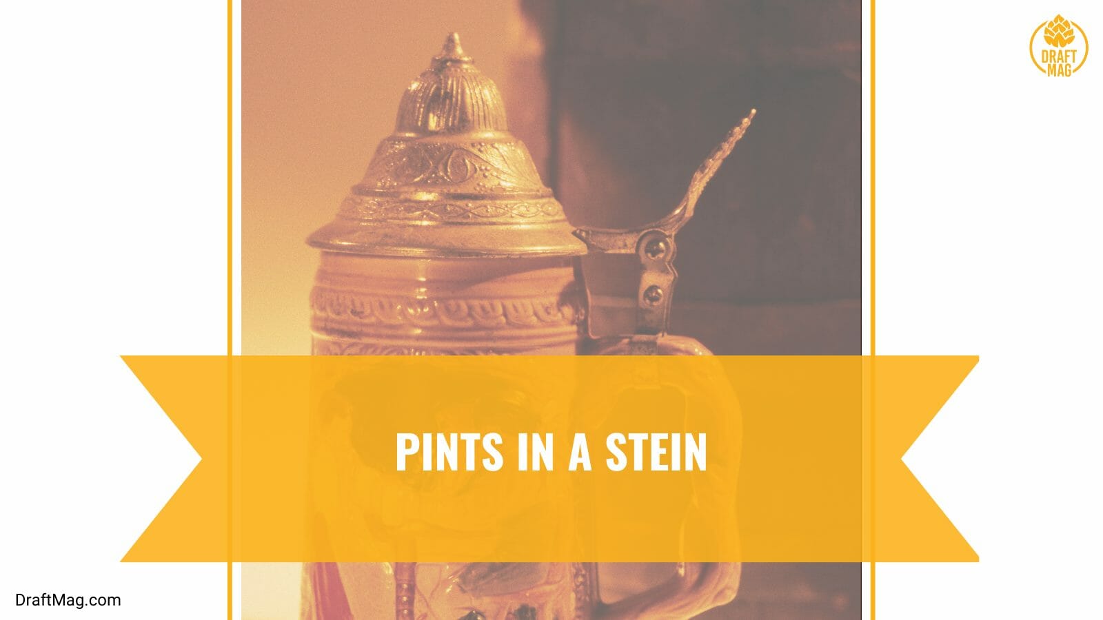 Pints in a stein