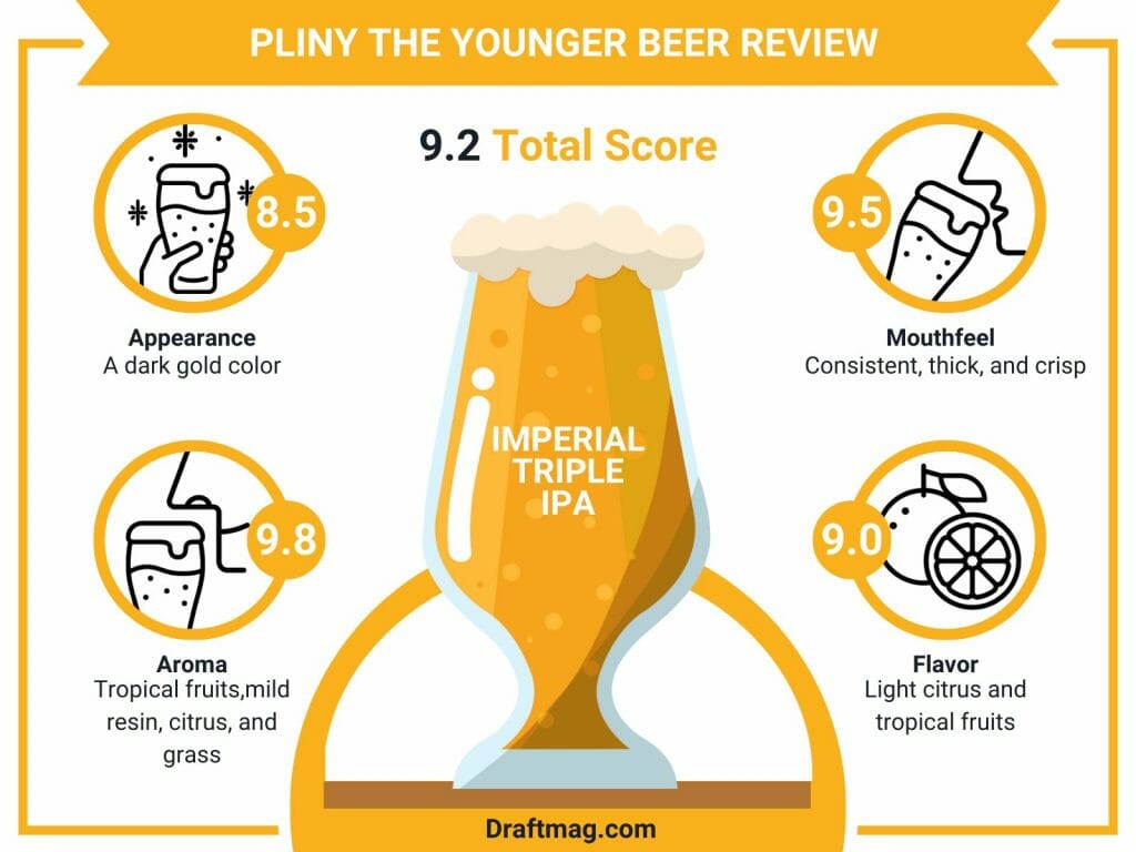 Pliny the Younger Beer Review A Full Bodied IPA for Hop Heads