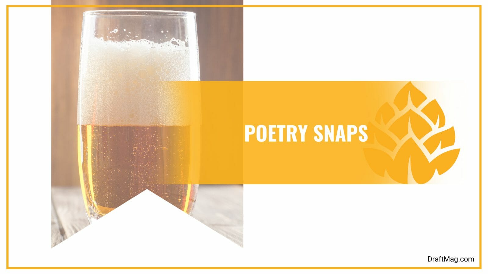 Poetry snaps japanese style lager