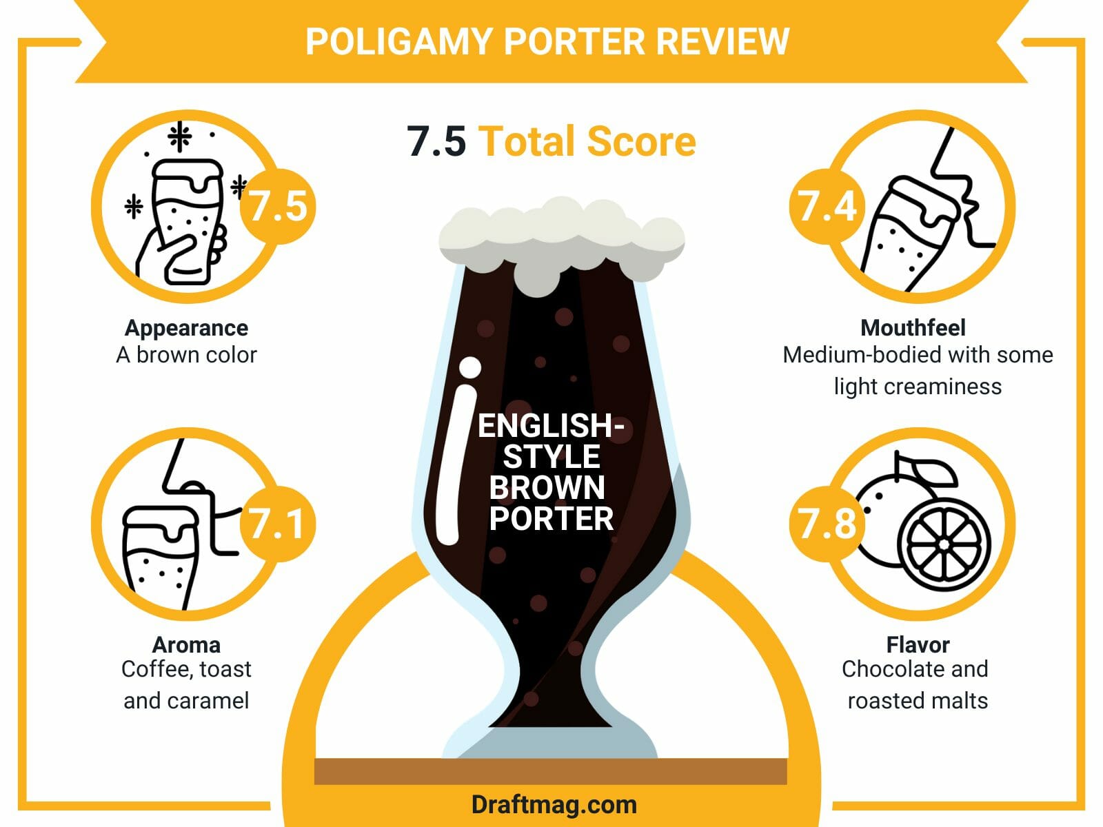 Poligamy porter review infographic