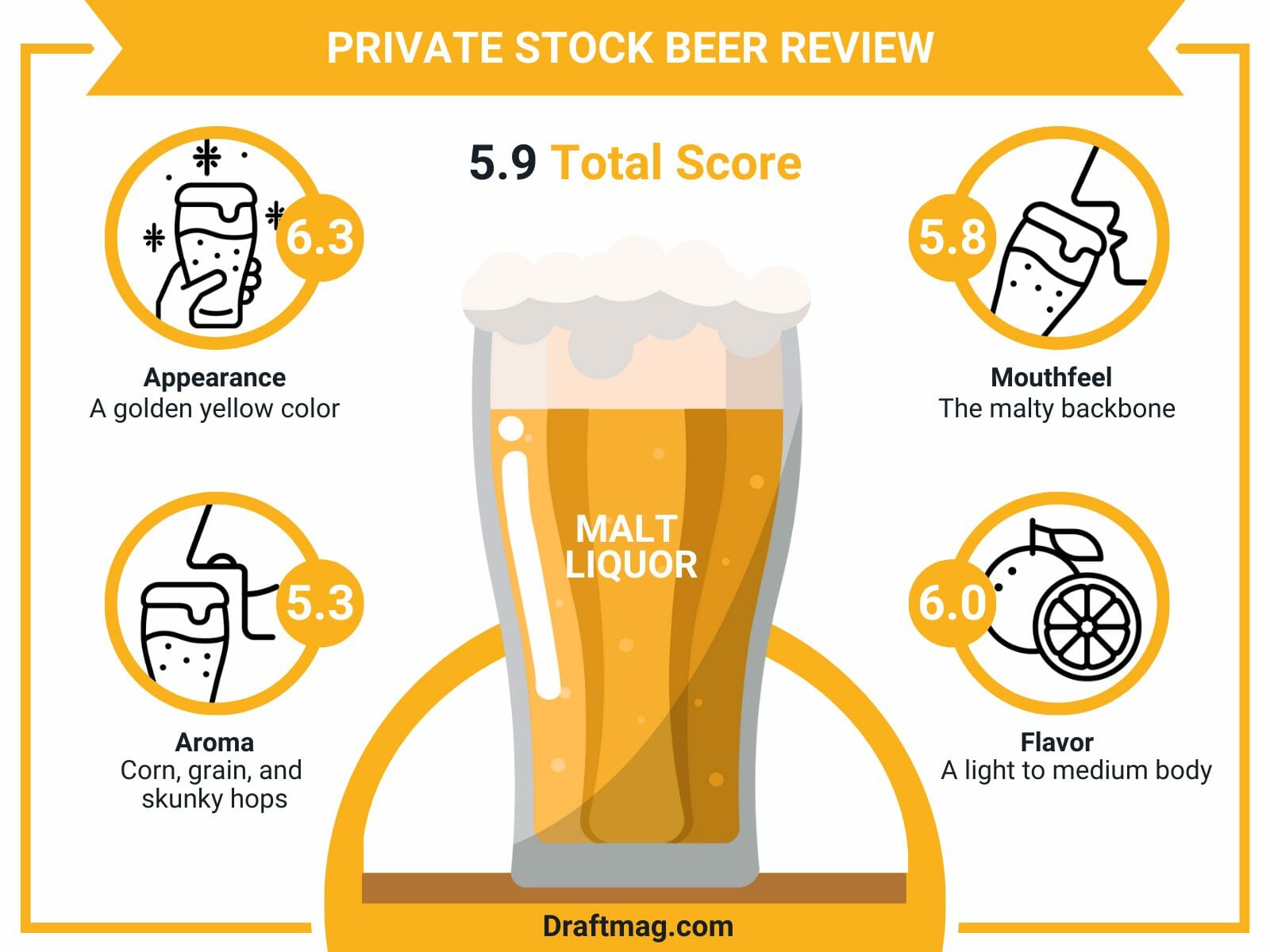 Private stock beer review infographic