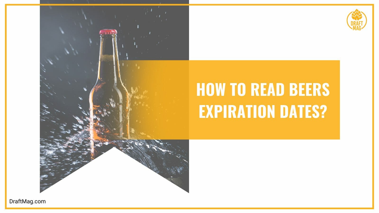 Reading beers expiration dates