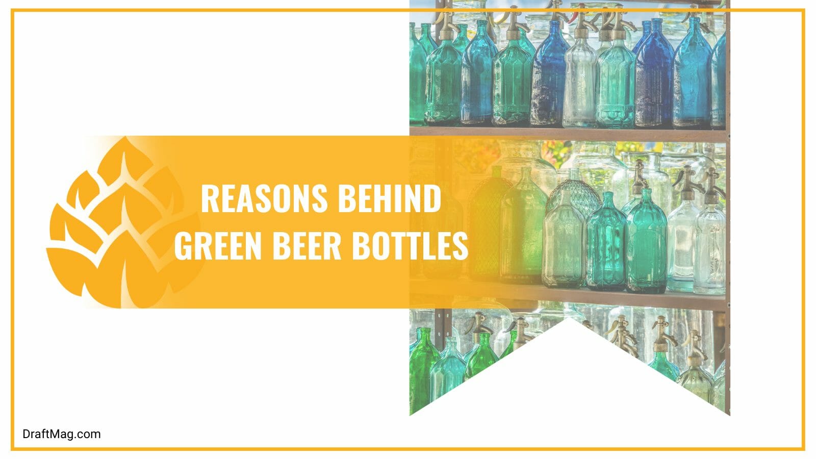 Reasons behind green beer bottles