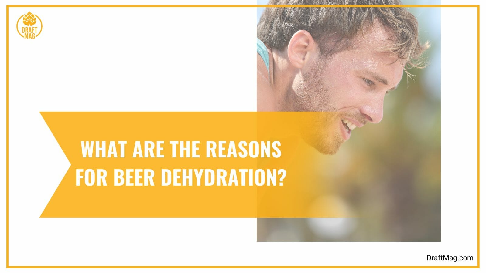 Reasons for beer dehydration