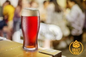 Red Trolley Ale Review: Is There a Reason To Try Out This Brew?