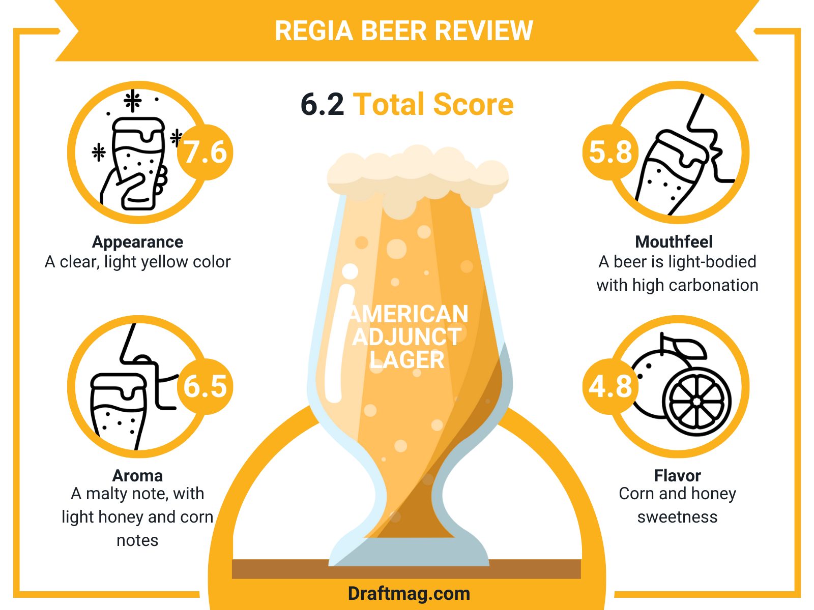 Regia beer review infographic