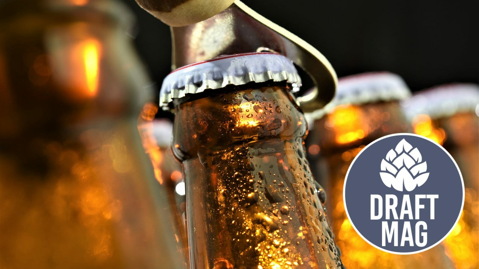 Rice Beer Brands 13 of the Bestselling Rice Brews in the Market