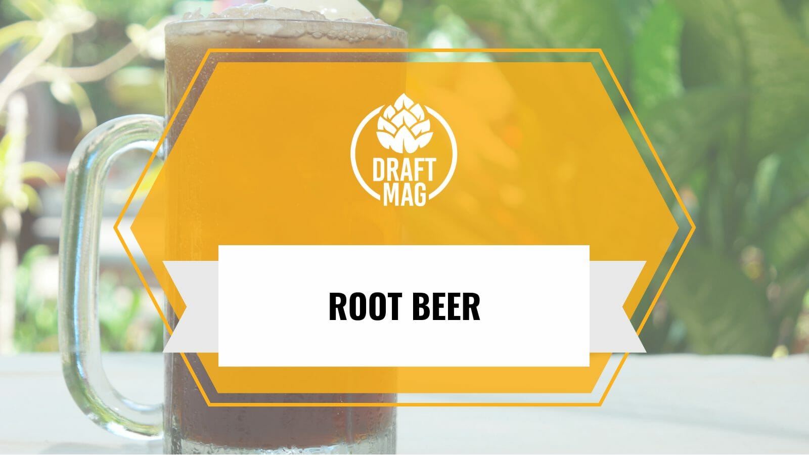 Root beer guide
