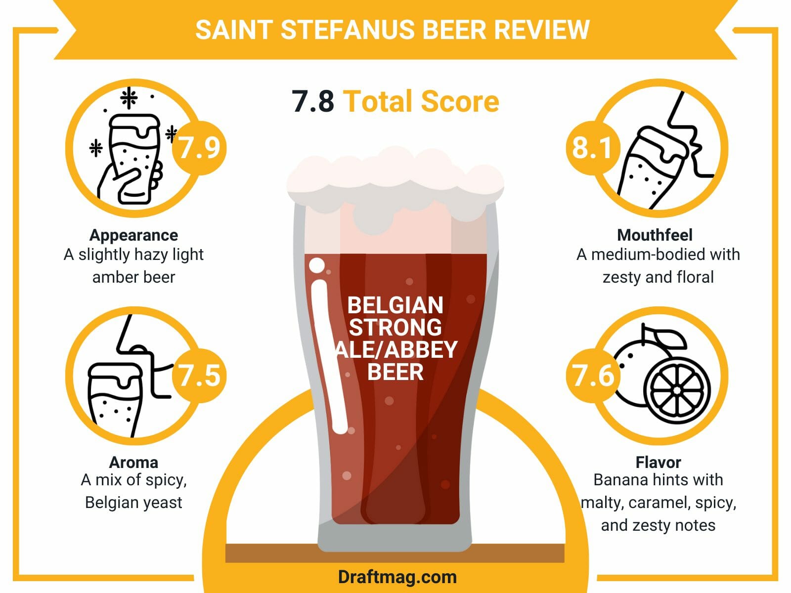 Saint stefanus beer review infographic