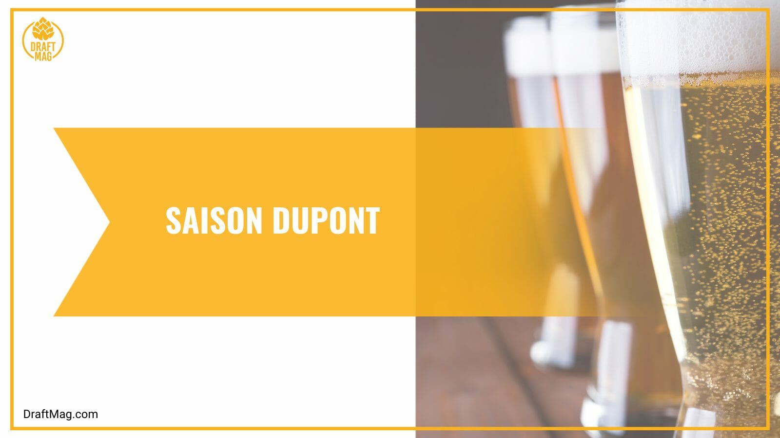 Saison dupont with fruity aromas