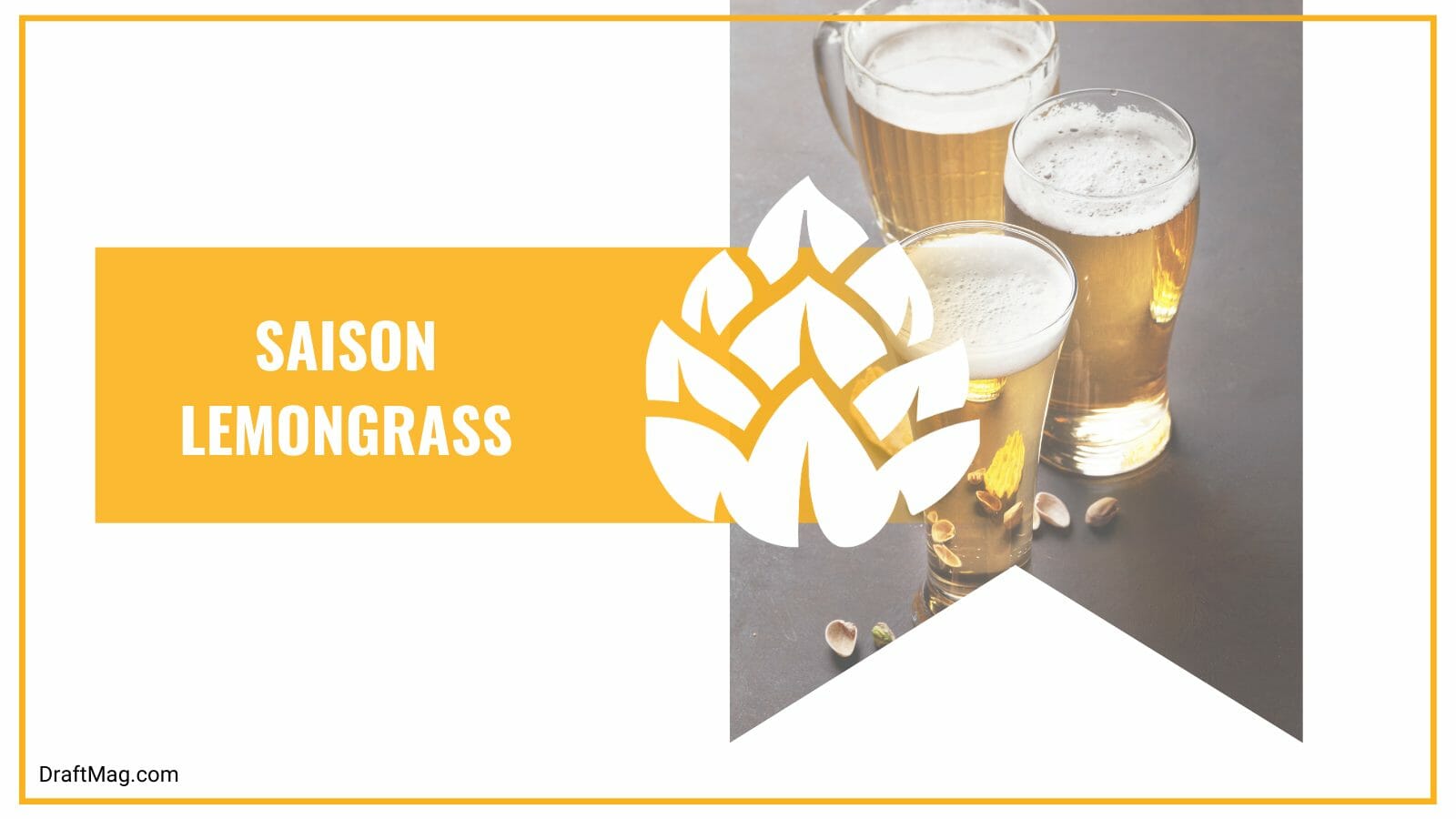 Saison lemongrass partizan brewery