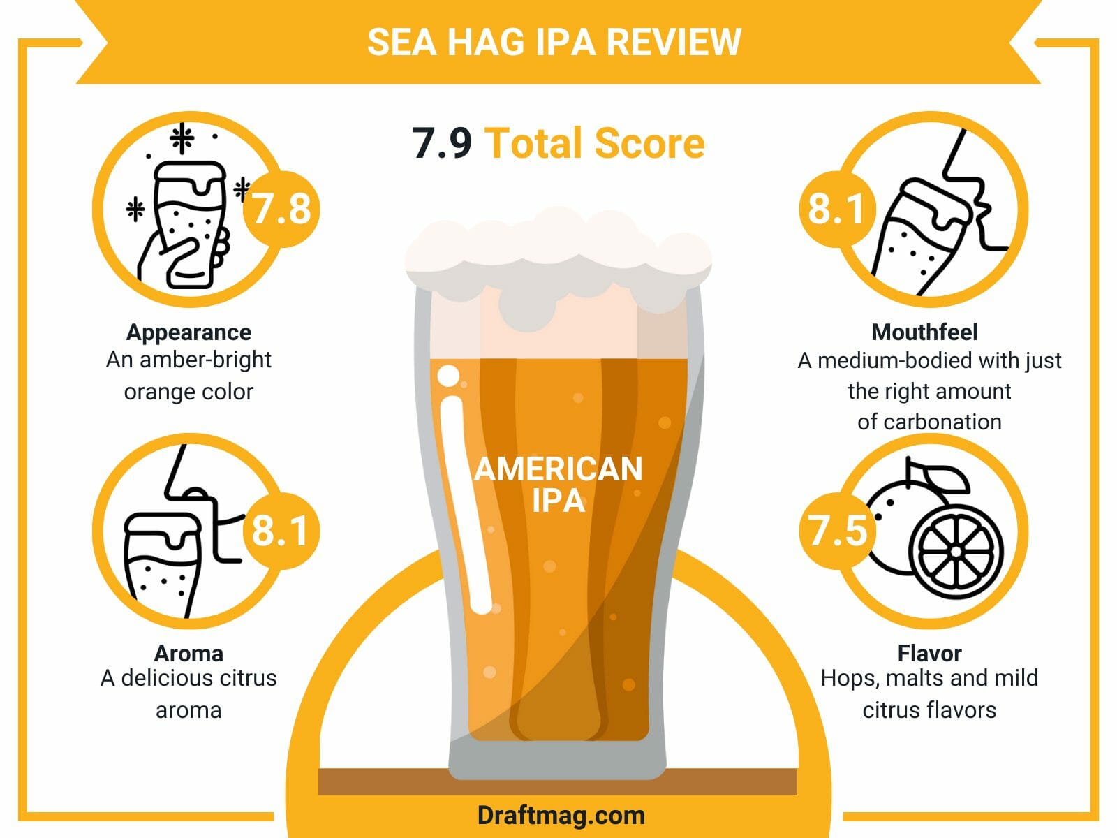 Sea hag ipa review infographic