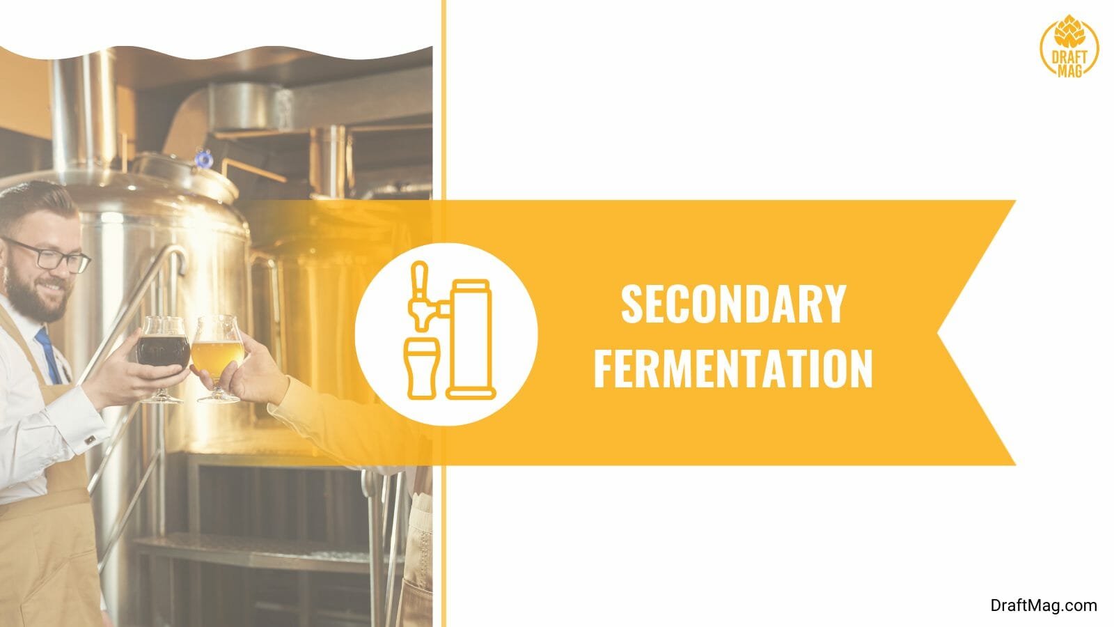 Secondary fermentation of beer