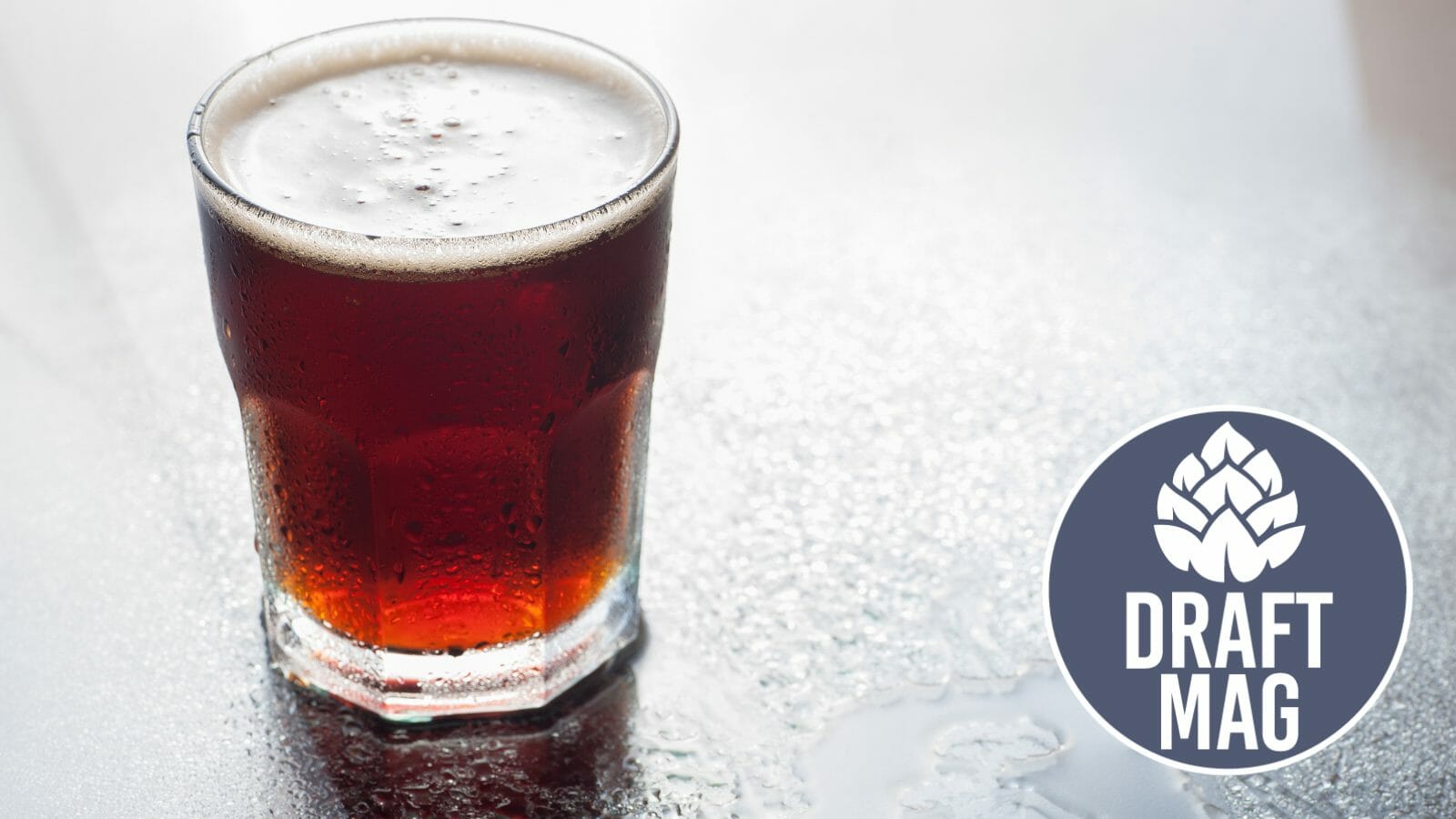 Skull Splitter Beer Review An Exciting Scotch Ale Evaluation