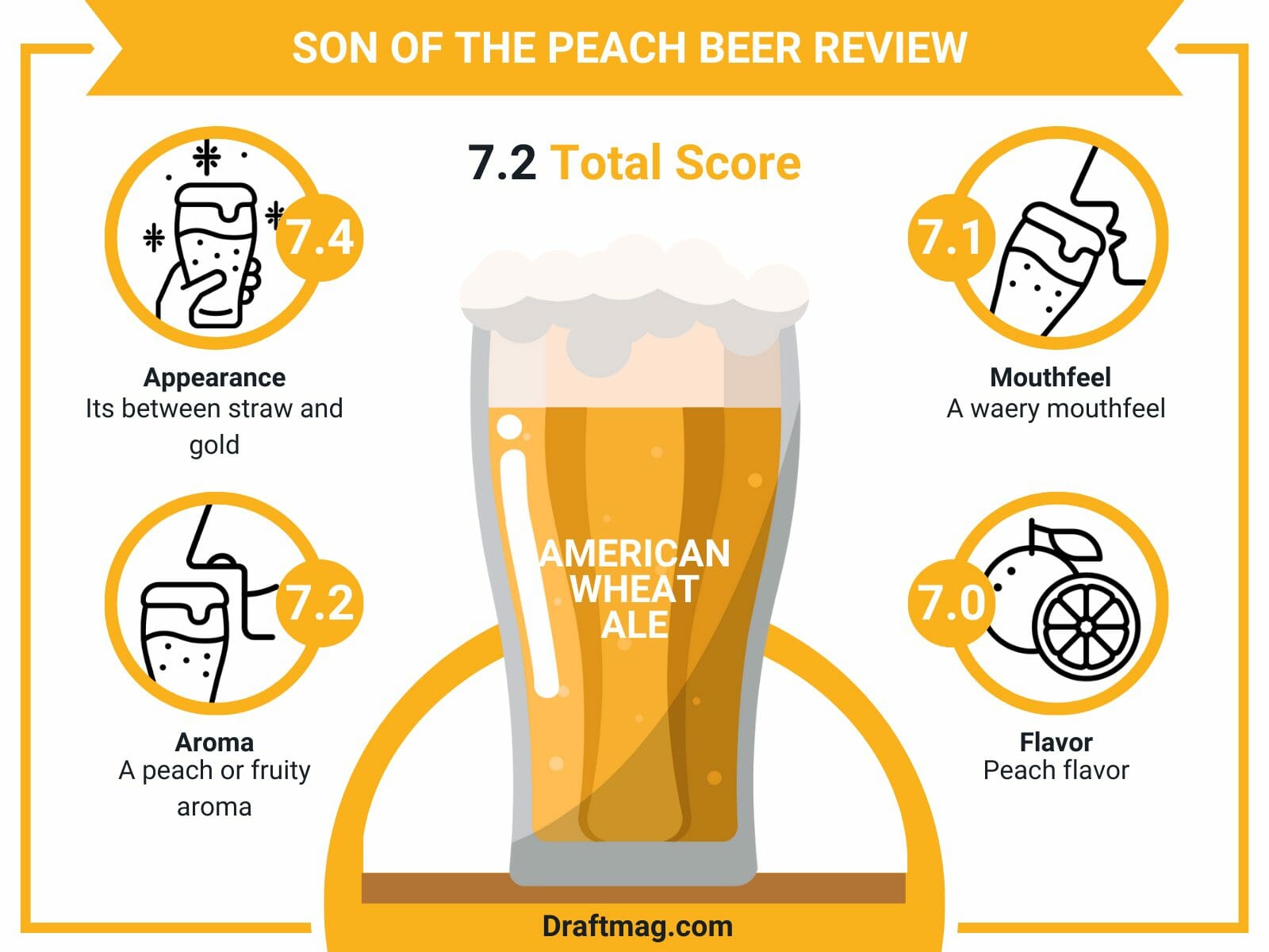 Son of the peach beer review infographic