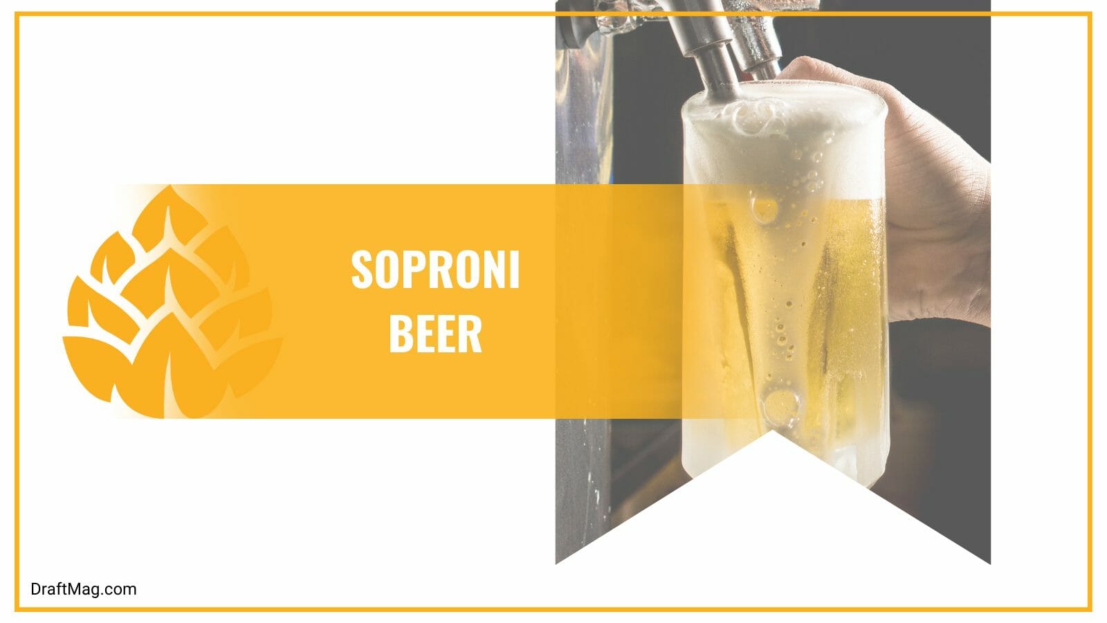 Soproni beer different levels of rings