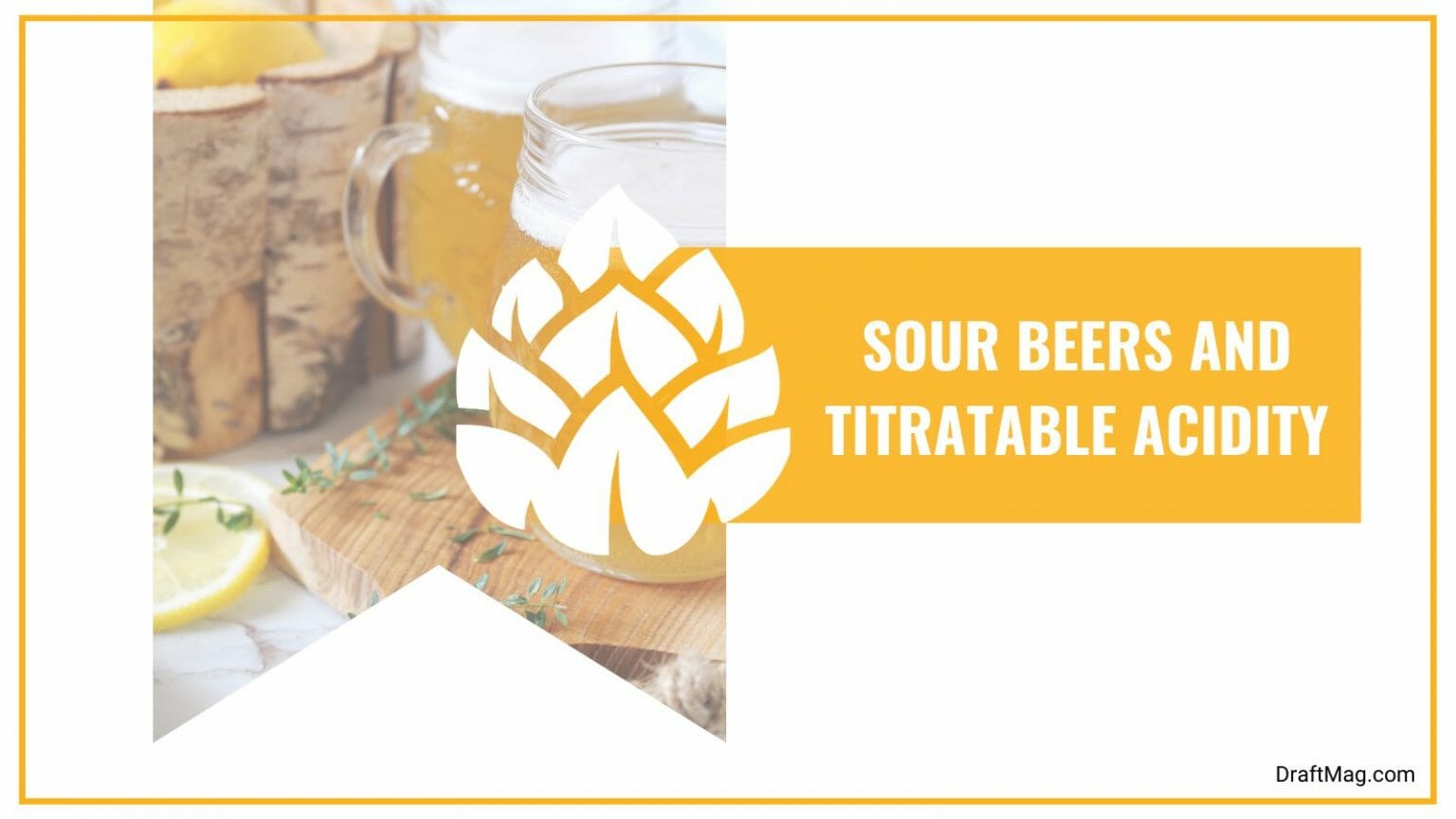 Is Beer Acidic? Understanding Beer pH and Its Importance