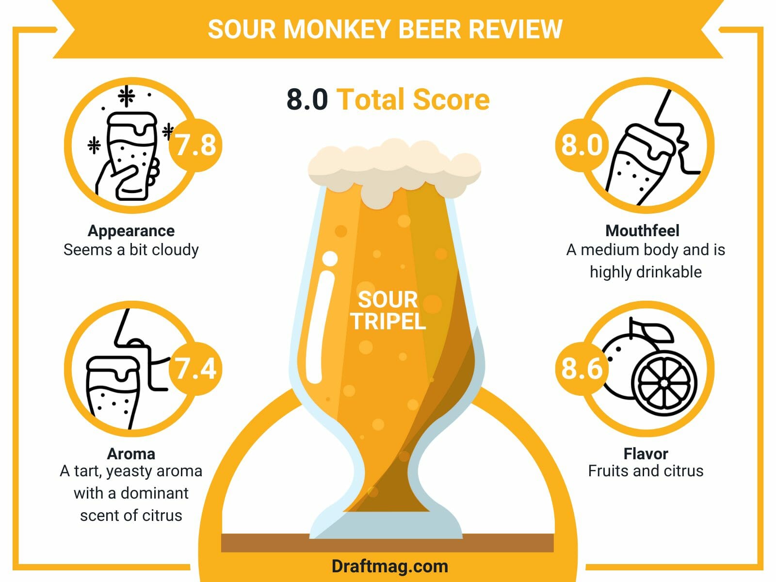 Sour monkey beer review infographics