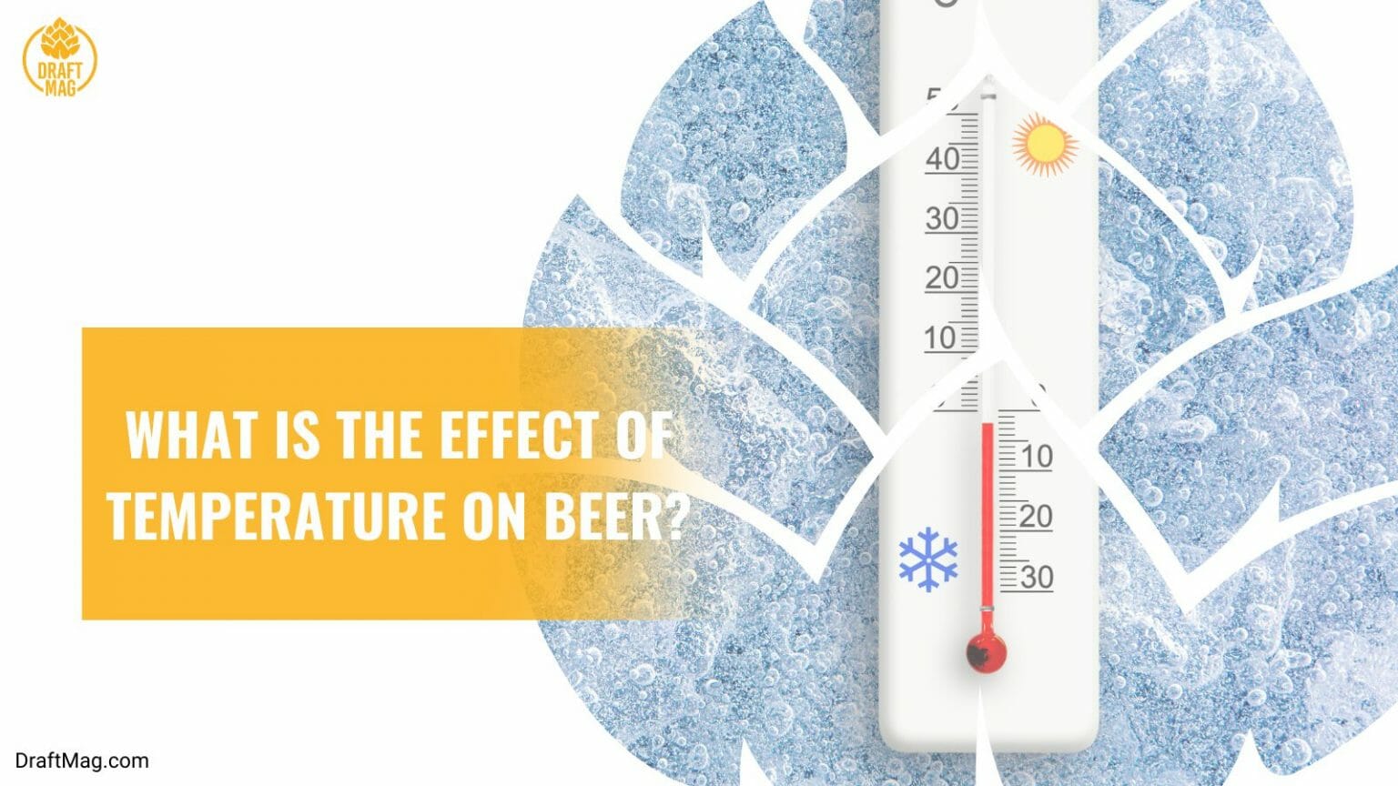 Can Beer Go From Cold To Warm Back to Cold Temperature and Beer
