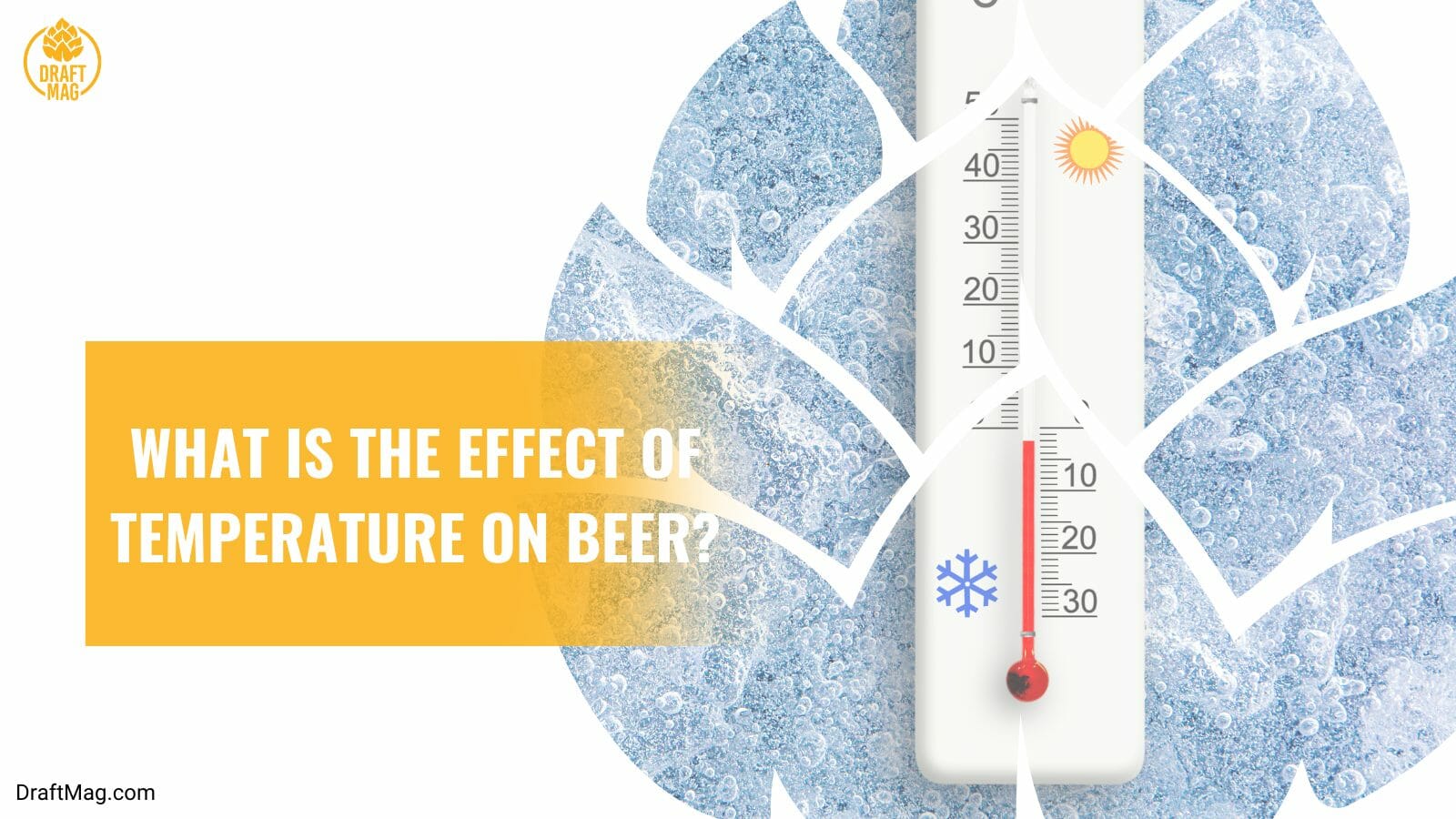 Temperature effect on beer