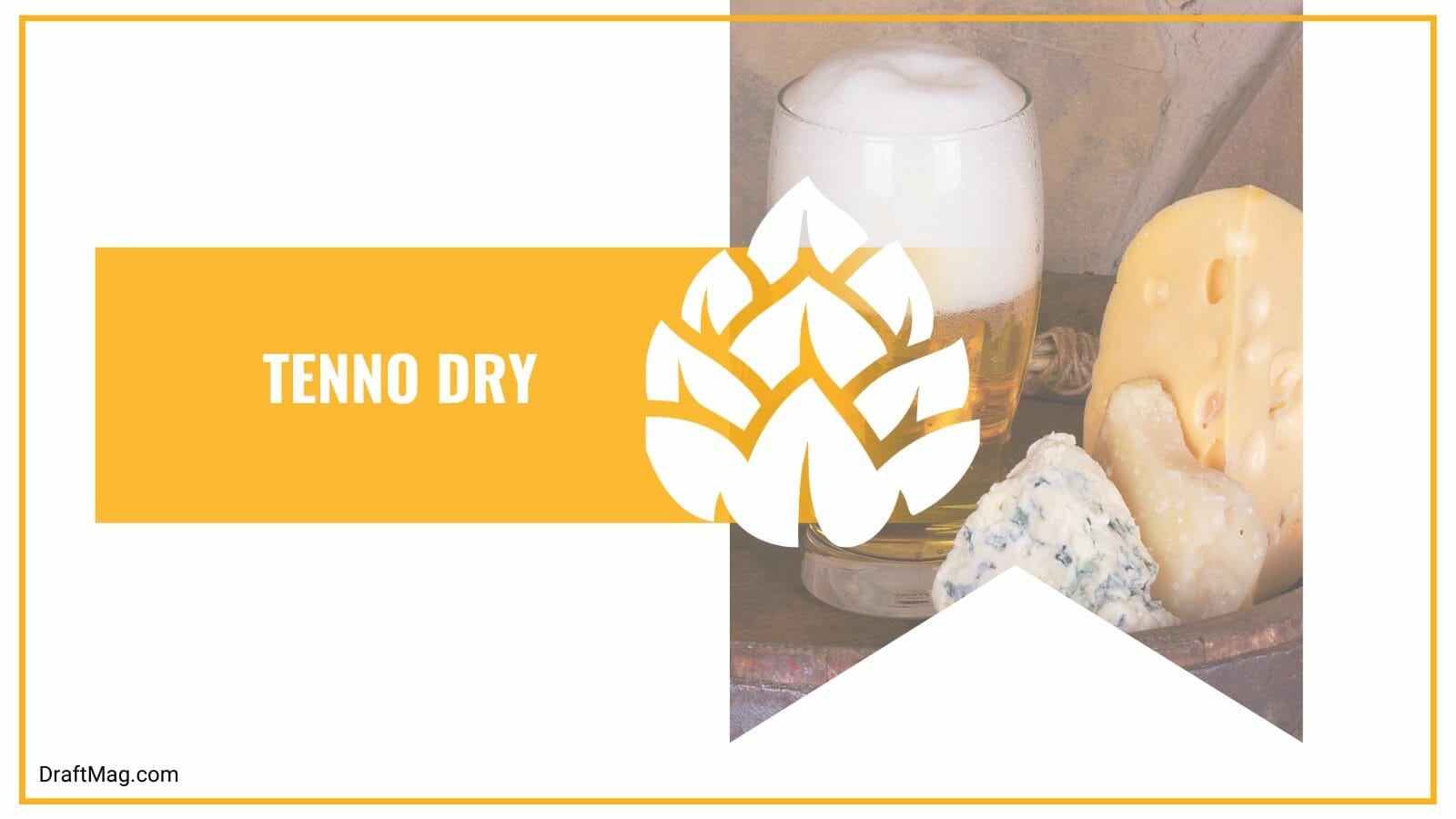 Tenno dry a transparent pale ale