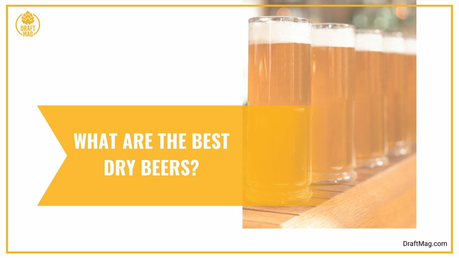 The best dry beers