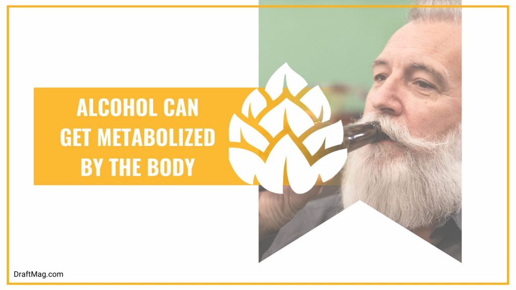 Does Beer Dehydrate You? How Drinking Beer Affects Your Health