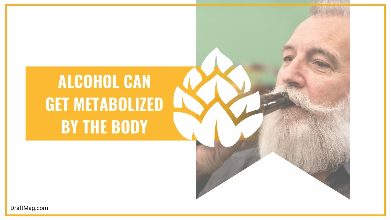The body can metabolize alcohol