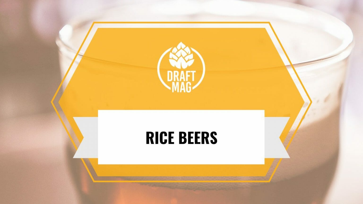 Rice Beer Brands 13 of the Bestselling Rice Brews in the Market