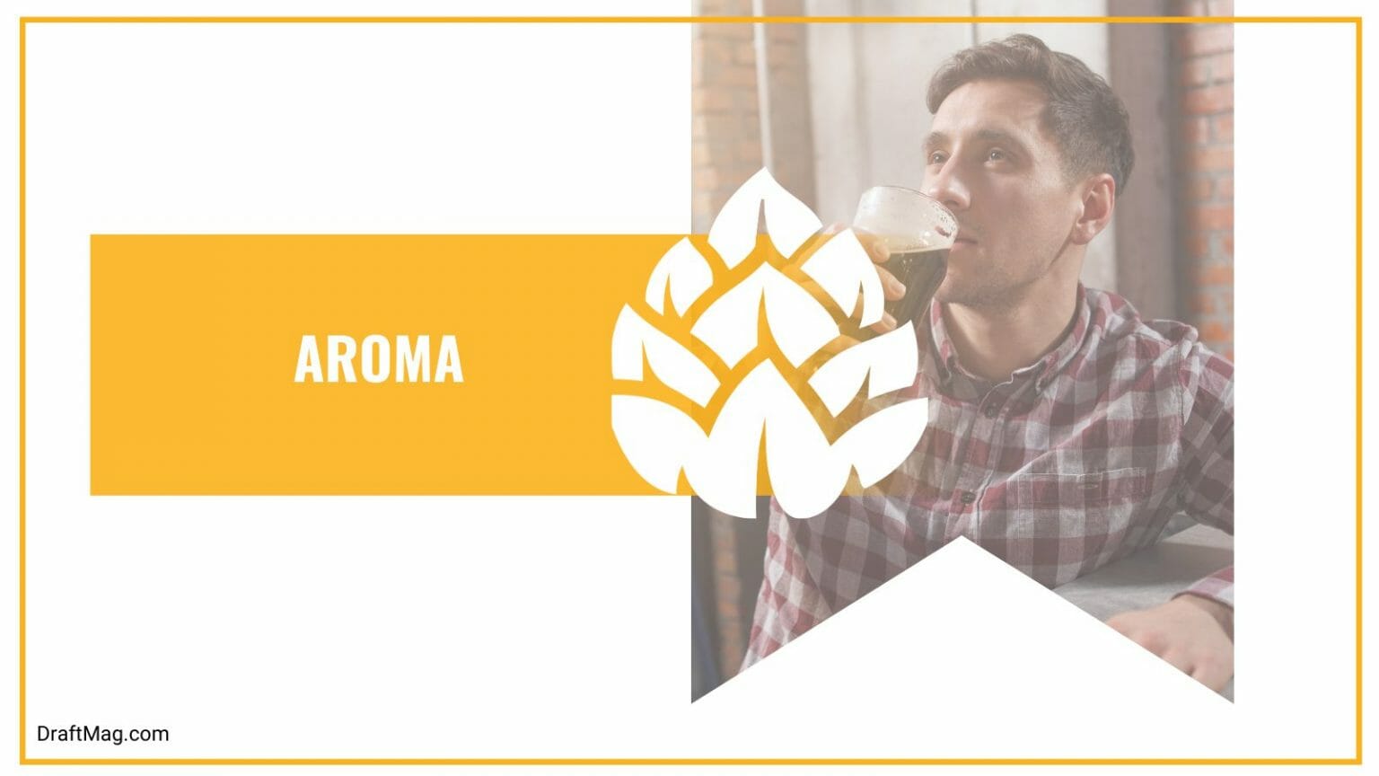 Xingu Beer Review A Specialty Beer Dating Back To Olden Centuries