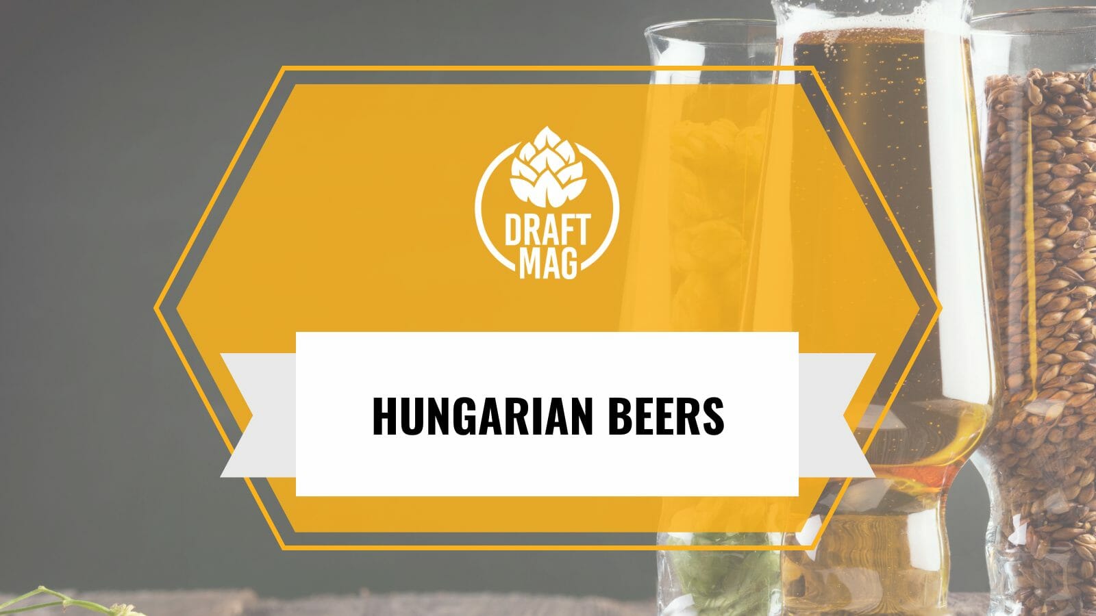 The top beer brands in hungary to enjoy