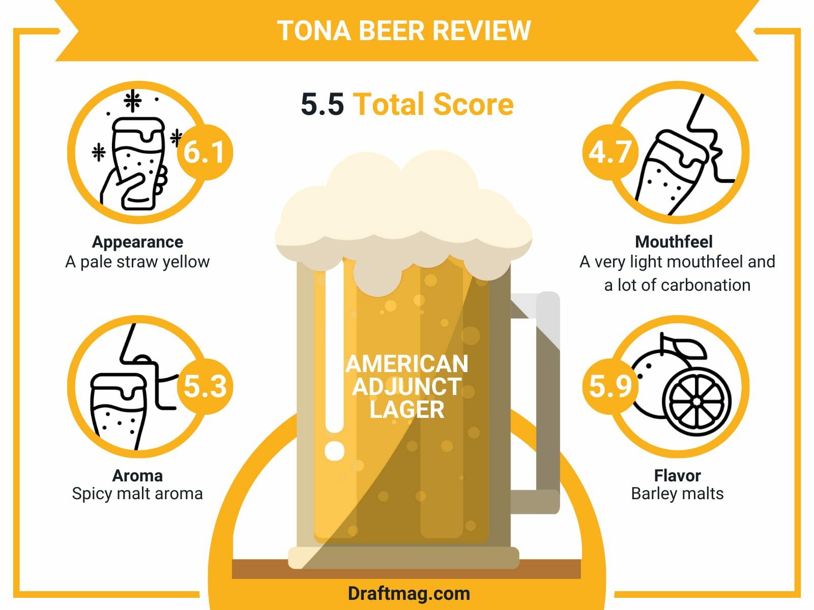 Tona beer review infographic