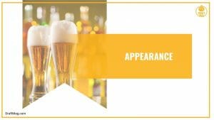 Trop Hop Beer Review: Is This American-style IPA a Hit or Miss?