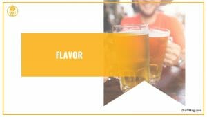 Trop Hop Beer Review: Is This American-style IPA a Hit or Miss?